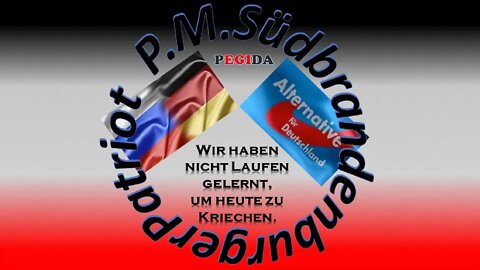 Unsere Kinder sind nicht Ihre Versuchskaninchen Martin Reichardt AfD Fraktion im Bundestag
