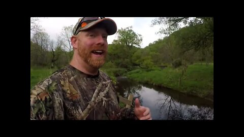 Spring Trout Fishing the Driftless, Trout Fishing with the Cows!