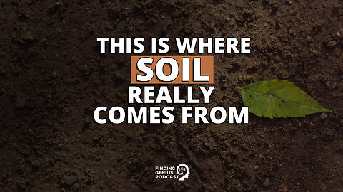 This Is Where Soil Really Comes From