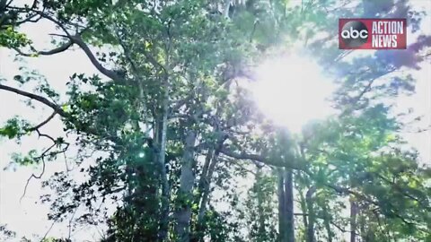 Weeki Wachee guided kayaking tour highlights importance of preserving river