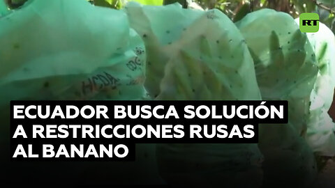 Ecuador busca el diálogo con Rusia en medio de las restricciones a importaciones de banano