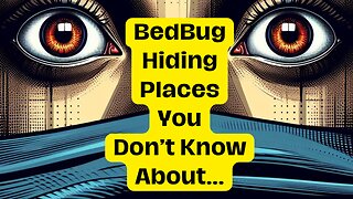 Where Do Bed Bugs Hide?