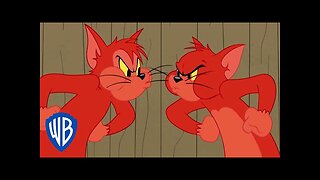 Tom & Jerry | The Tom and Butch Competition | WB Kids