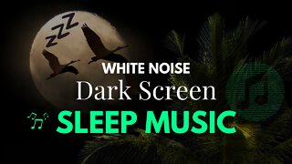White Noise | Dark Screen | Sleep, Focus, Study | 3 Hours