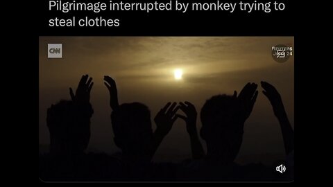 Did cnn just compare black people to monkeys lol