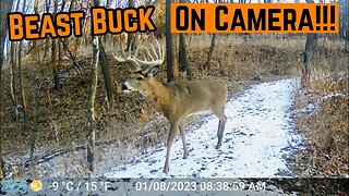 MONSTER BUCK Caught On CAMERA!!!