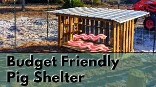 DIY Pig Shelter in 20 minutes