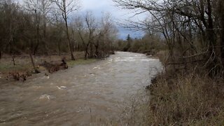 Carrollton Creek Flash Flooding