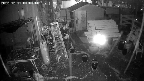 Backyard camera