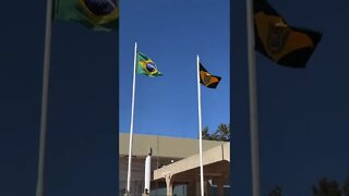 Agora! Chegada do Coração de D. Pedro I em Brasília