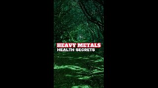 Heavy Metal Secret