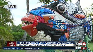 Naples Zoo features art exhibit, holds winter camp to educate the public on ocean pollution -- 7am live report
