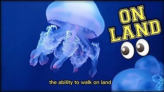 What If Jellyfish Could Go on Land?