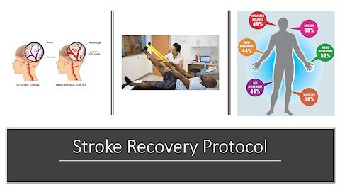 Stroke recovery protocol - herbs and supplements