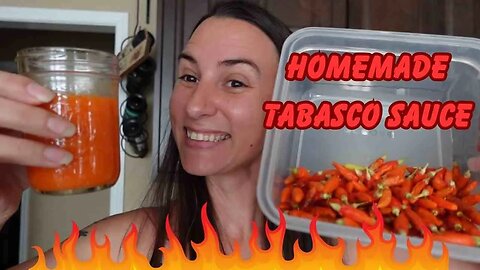 From Garden to Saucepan: Homemade Tabasco Pepper Hot Sauce Recipe!
