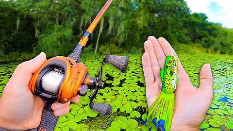 TOPWATER Fishing Showdown in LOADED Ponds (BIG BASS)