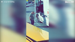 Un camionneur emmène un cochon domestique en balade