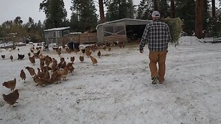 What Do Farmers Do On Black Friday?