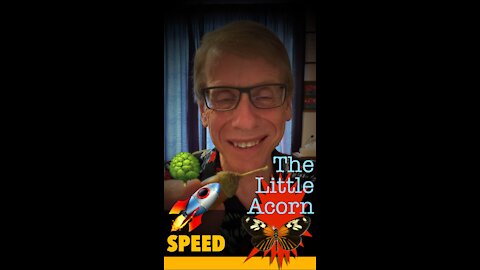 The Little Acorn.🌳A wonderful story!