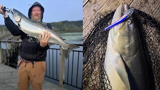 Hardware Bite!! King Salmon Fishing With Lures / Nova Whacker Sticks & RMA Steelhead Slammers