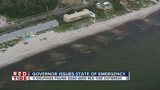 State of emergency declared due to FL red tide