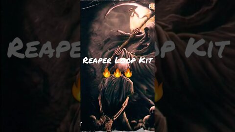 #loopkit #loops #loop #samplepack #short #shorts #shortvideo #music