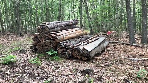 Moving Sawmill Slabs