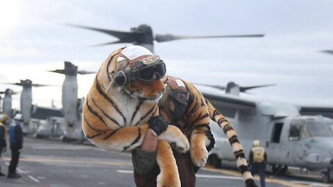 Ospreys take off from USS America