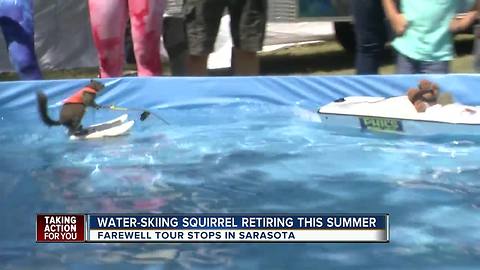 'Twiggy' the water-skiing squirrel is hanging up her skis, making farewell tour stop in Sarasota