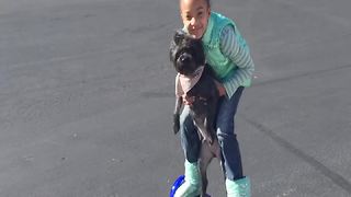Little Girl Rides A Hoverboard With Her Dog