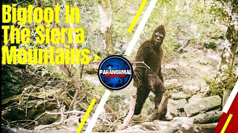 Bigfoot In The Sierra Mountains - The Paranormal Highway Show