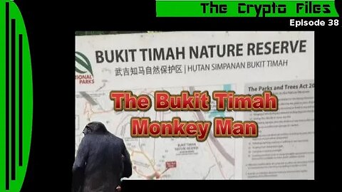 The Crypto Files | The Bukit Timah Monkey Man | Ep38