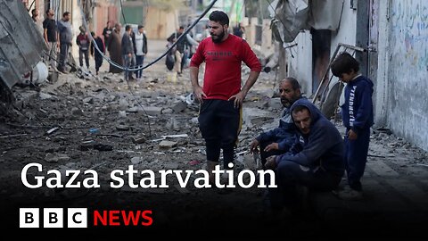 UN warns half of Gaza's population is starving - BBC News I #Israel #Gaza #BBCNews
