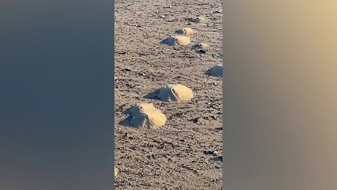 'Mini Volcanoes' Appear All Over Texas Beach