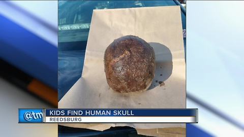 Kids find human skull in Reedsburg