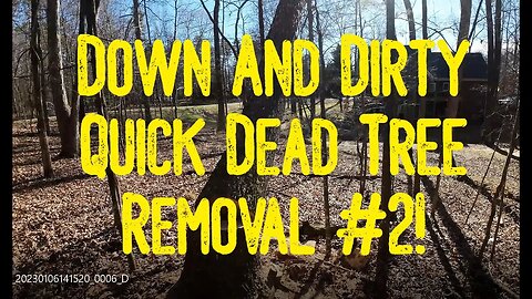 Down And Dirty Quick Dead Tree Removal #2