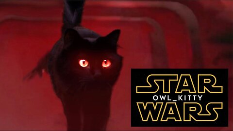 Star Wars - Starring my cat Owlkitty