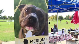 Meridian Canine Rescue Tourney