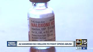 Arizona agency gets $3.1M from US to combat opioid abuse