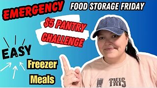 **NEW SERIES** $5 Emergency Pantry Challenge || Filling Our Freezer On The Cheap