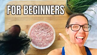 Best complete raw cat food for beginners