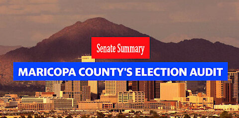 Maricopa County Senate Audit Summary