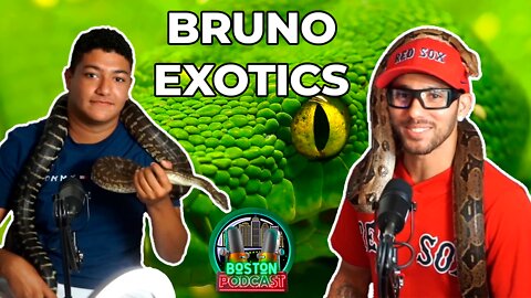 Bruno Exotics - Criador de cobras