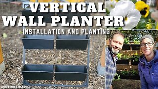 🌿 Vertical Wall Planter Installation and Planting | Outdoor Vertical Planter - SGD 354 🌿