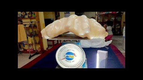 Fisherman Unknowingly Keeps Giant $100 Million Pearl Under His Bed For 10 Years