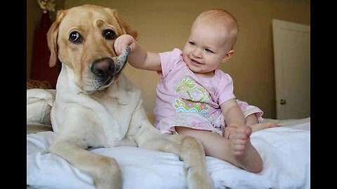 Cute baby enjoys playing with dog 🤭🥰🤭 #shorts #shortsfeed #cute #baby #cutebaby #trending