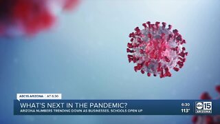 What's next in COVID-19 pandemic?