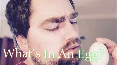 What’s in an Egg | Sovereign Provisions