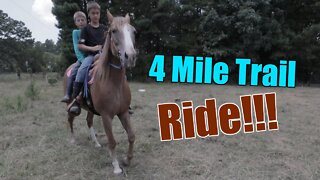 4 MILE TRAIL RIDE!!!/ Moving our horses to greener Pastures// Homestead Update