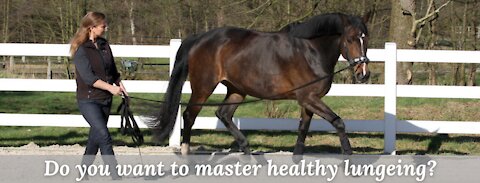 Do you want to master healthy trainers horse